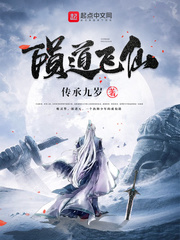 陨道飞仙