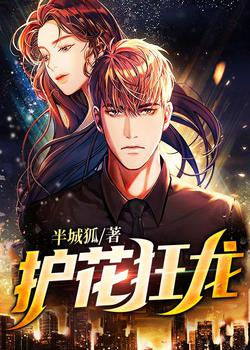 护花狂龙